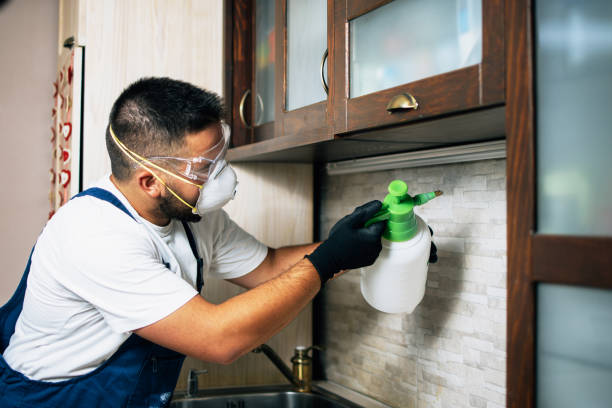Reliable Bent Creek, NC Pest Control Solutions